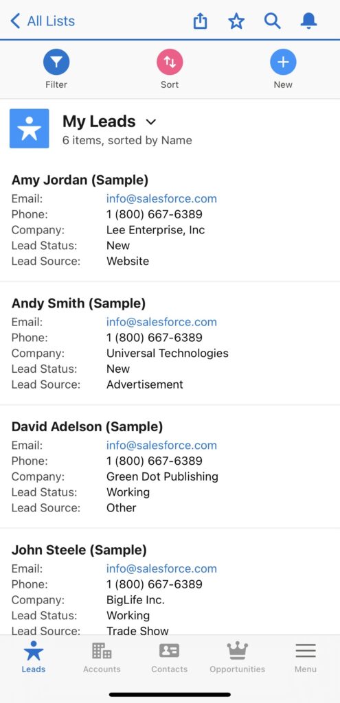 Salesforce lead filtering